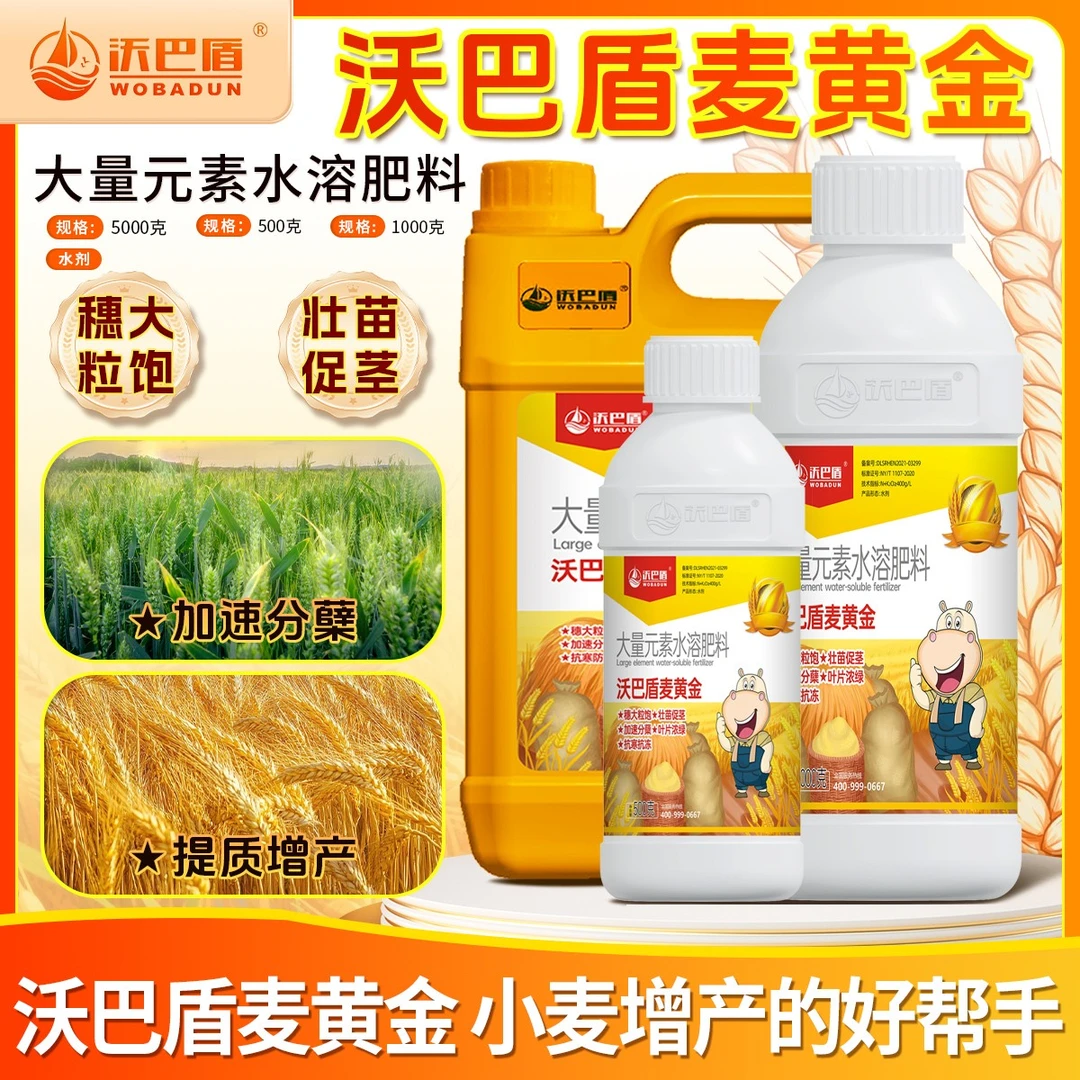 沃巴盾麦黄金抗寒防冻壮苗促茎抗逆抗倒伏穗大粒饱水溶肥料
