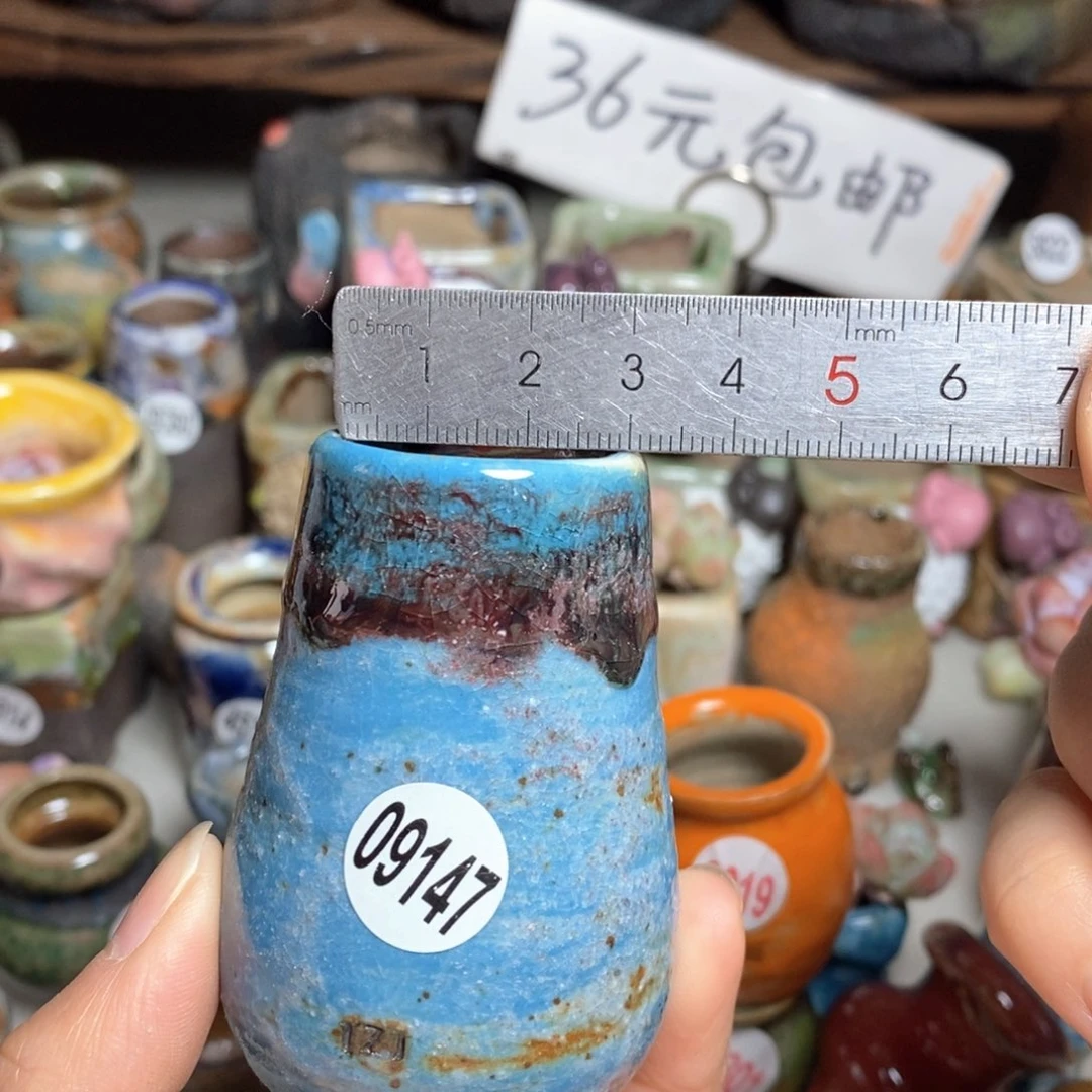 拍5送一个小礼物