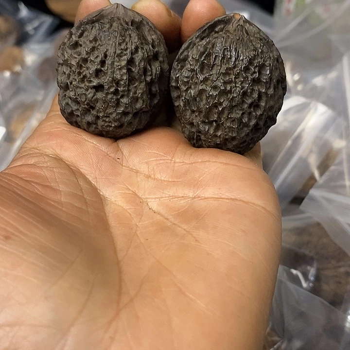 核桃云南铁核桃基地82