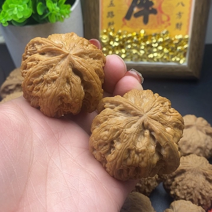 大叶紫檀（黑酸枝木类）粗筋51