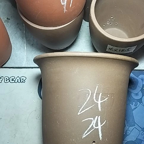 特大金钟一个花盆