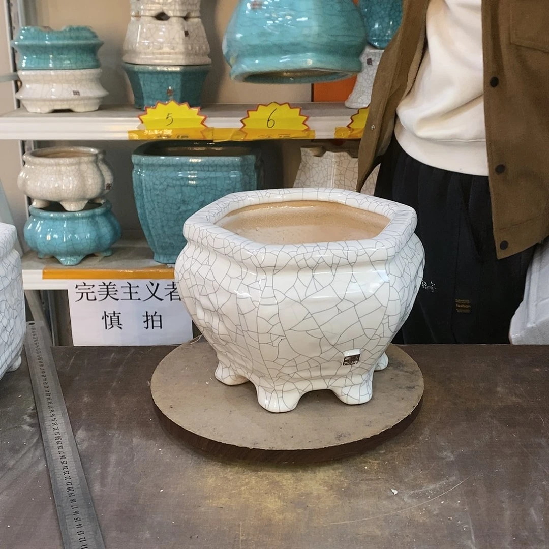 正**然花盆花盆里的花都开