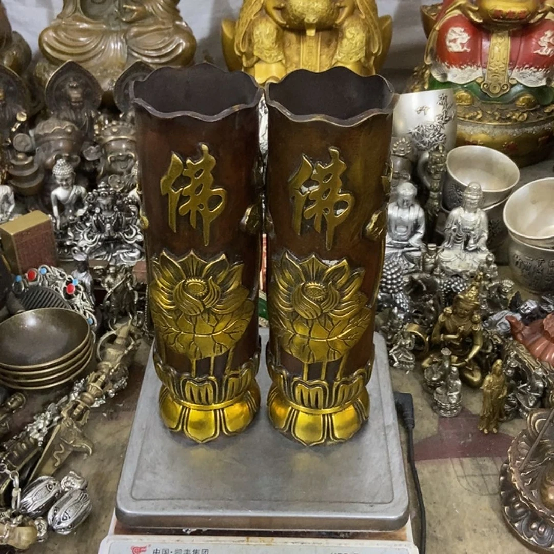 白见白见白见白见白见白见白