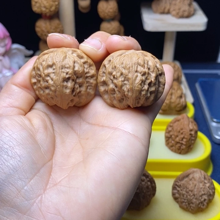 核桃38全品野狼 18号车