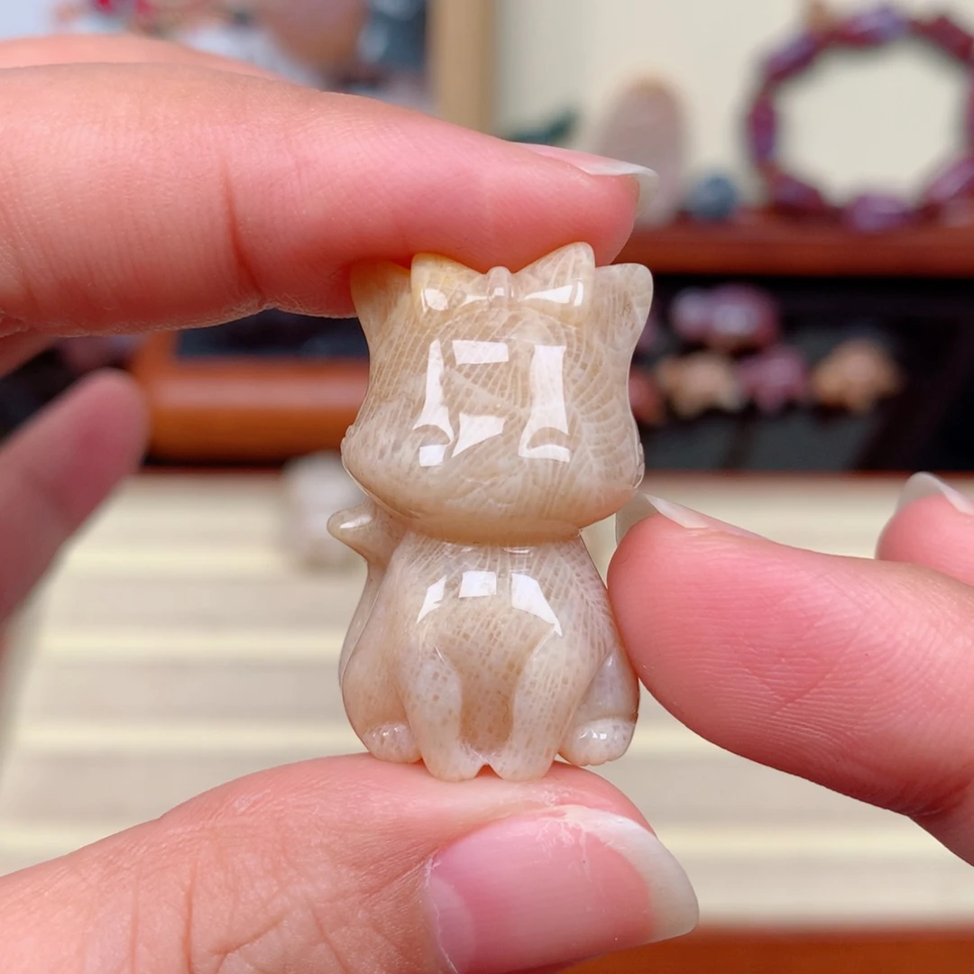 硅化玉未镶嵌颈饰