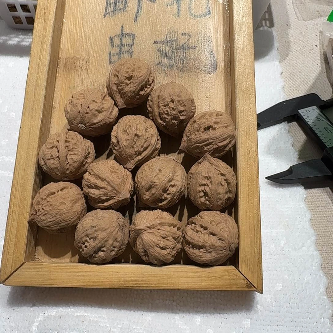 核桃手串/手链47号边23肚26高25
