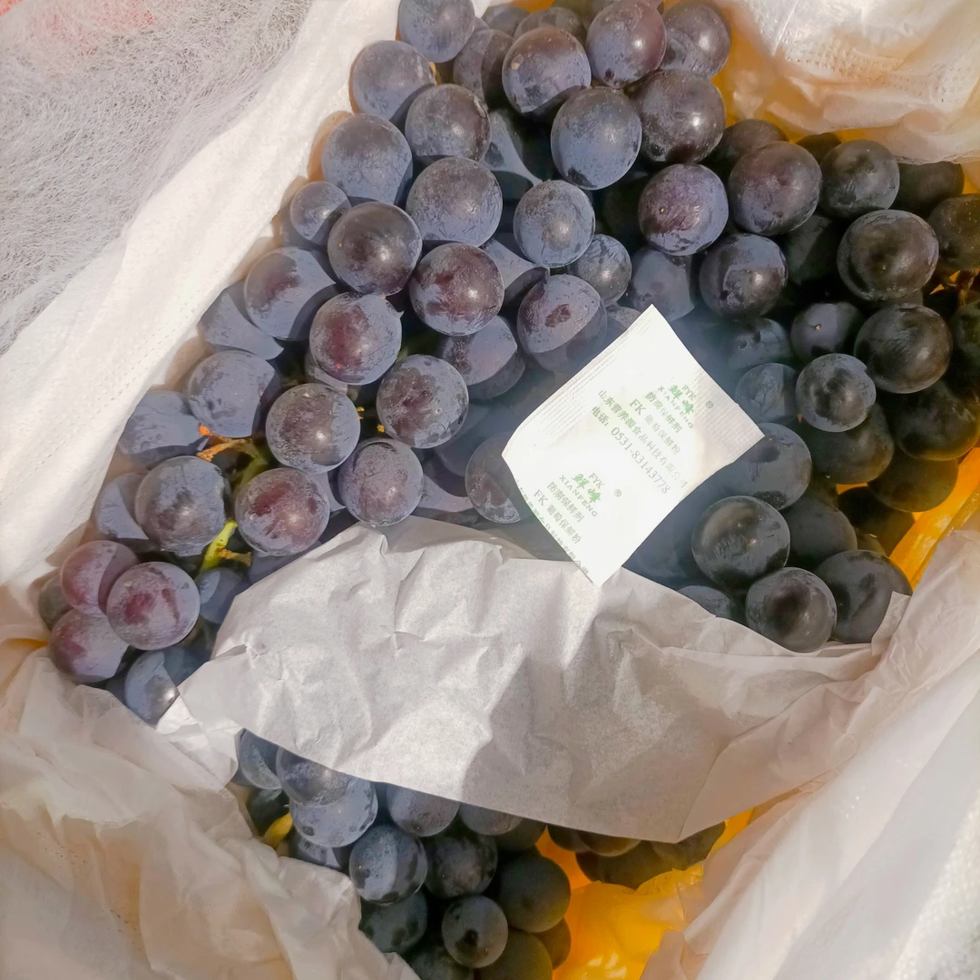 蓝莓葡萄一箱g新疆维吾尔自治区