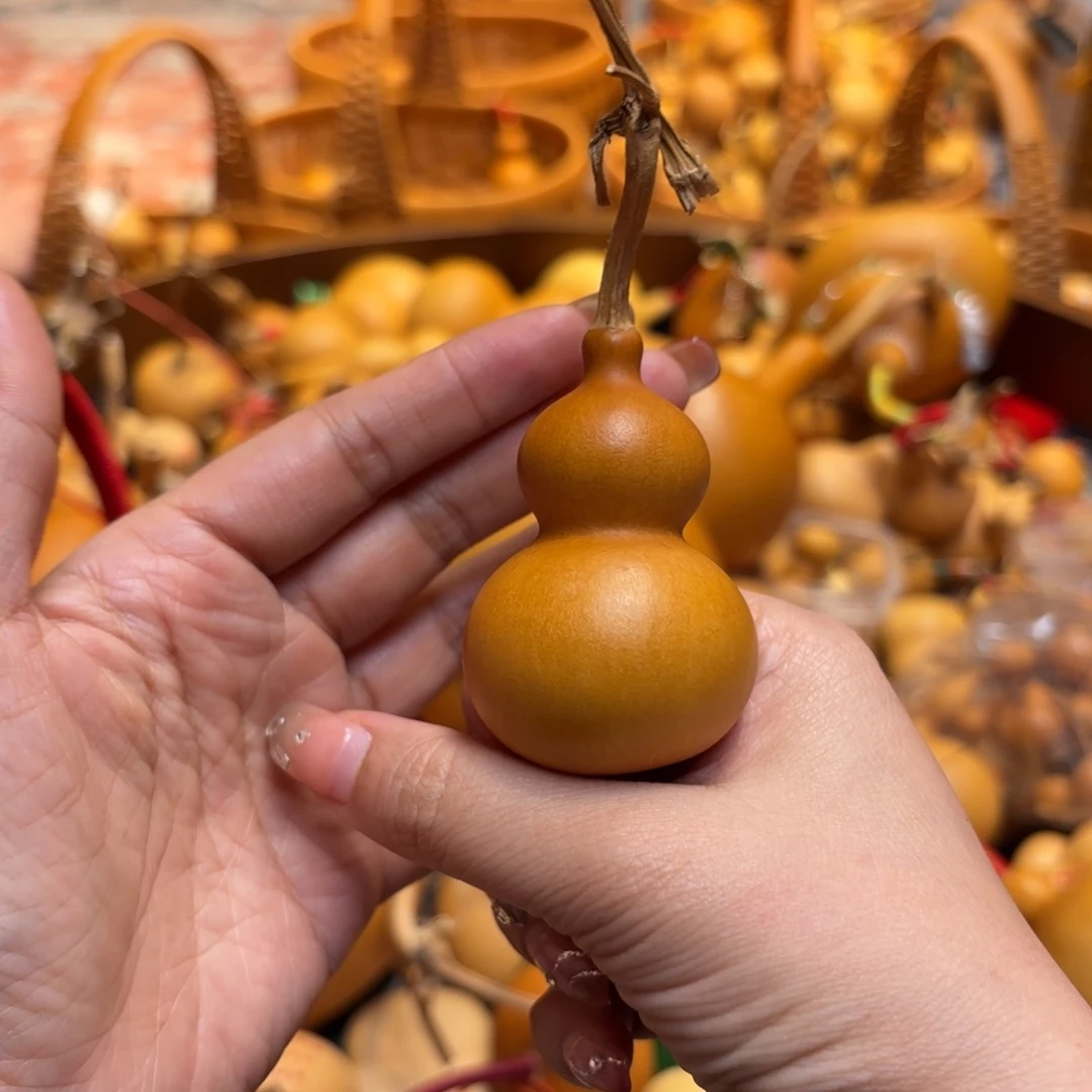 我们的生活也是如此的丰富