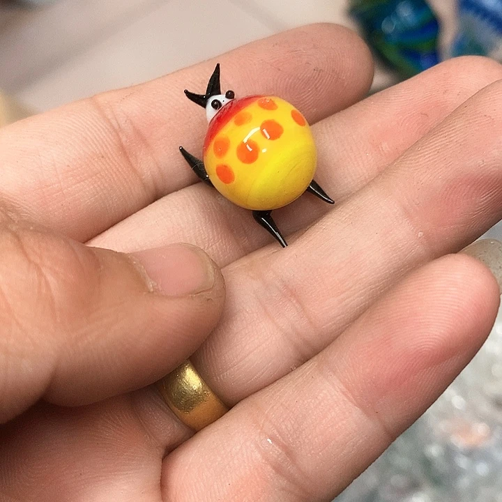 喵***琉璃琉璃琉璃琉璃
