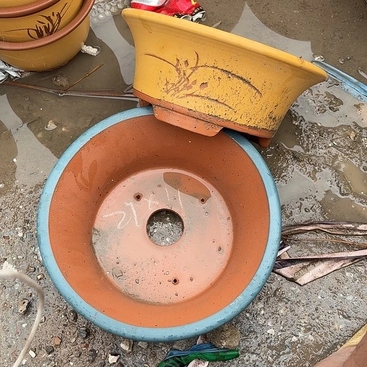 宜兴紫砂花盆，现货发
