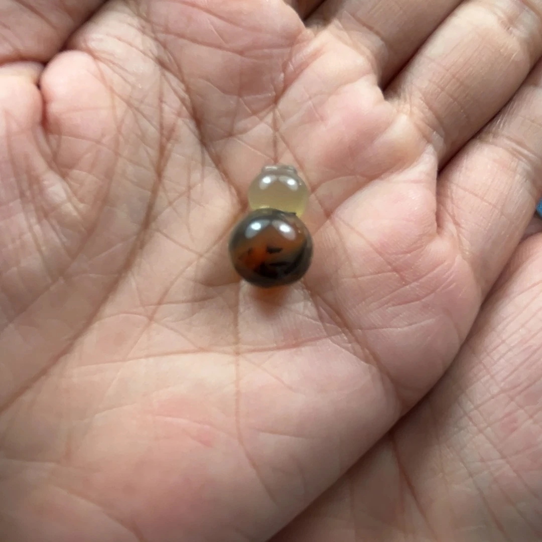 颈饰未镶嵌南红玛瑙