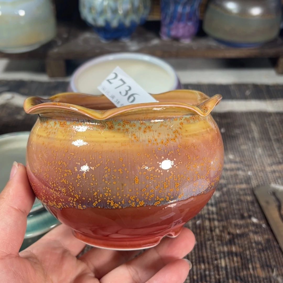 红陶口8高7 景德镇手工花盆