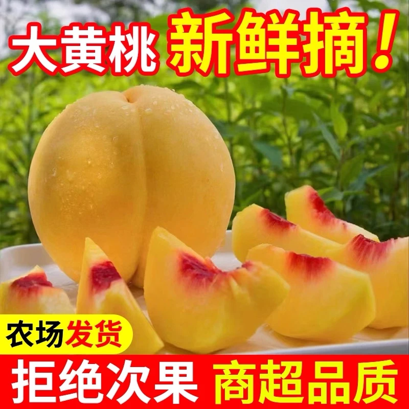 《黔货出山》桐梓木元黄桃新鲜现摘黄心多汁甜嫩可口