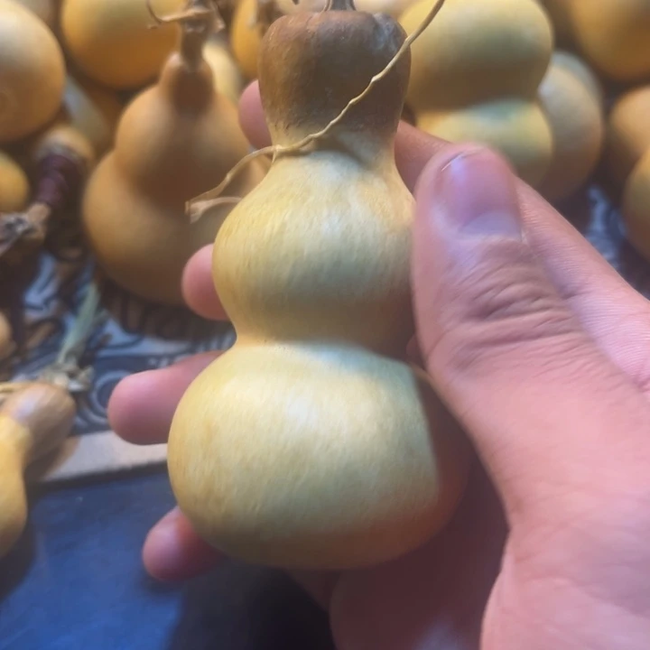 葫芦葫芦葫芦葫芦