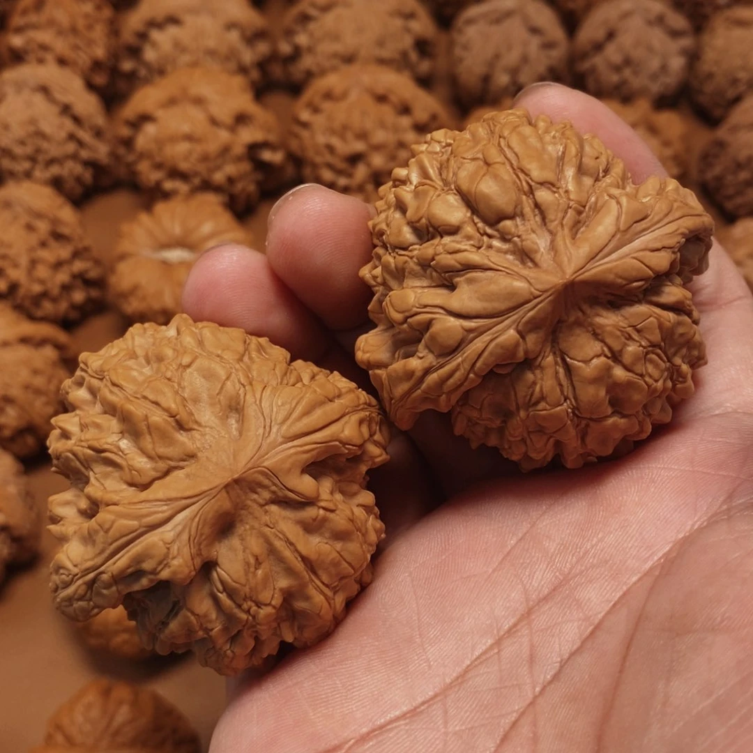 文玩核桃把件柯***尔53尺 全品龙鼎 45