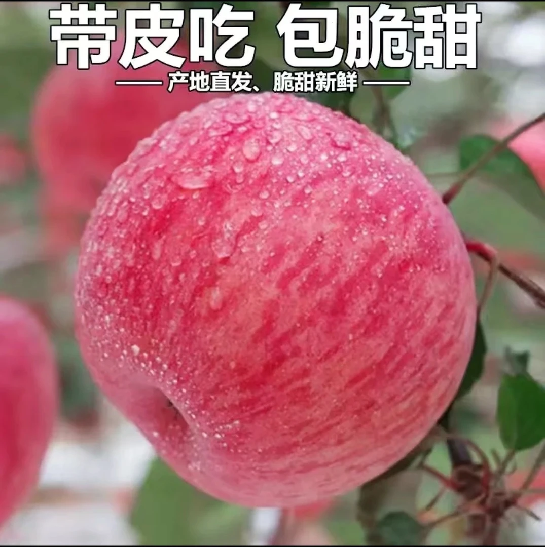 【2025新苹果】正宗陕西红富士苹果脆甜多汁皮薄产地直发新鲜水果