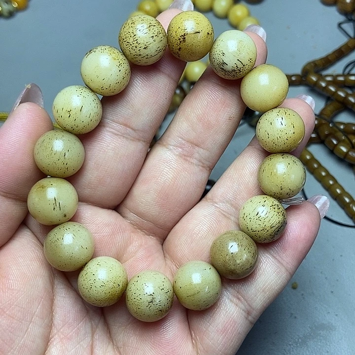 大果紫檀（缅甸花梨）