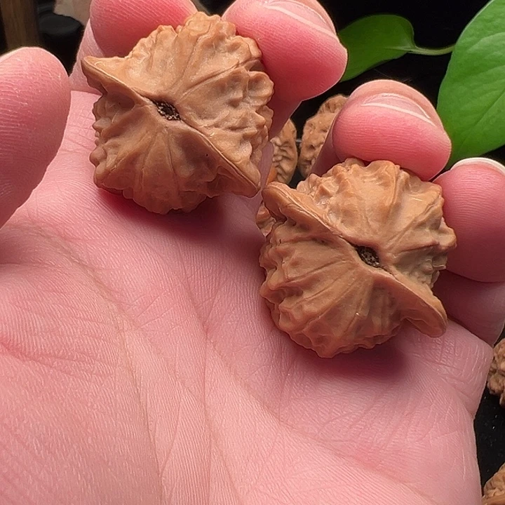 木质类瓷娃娃36尺 精品