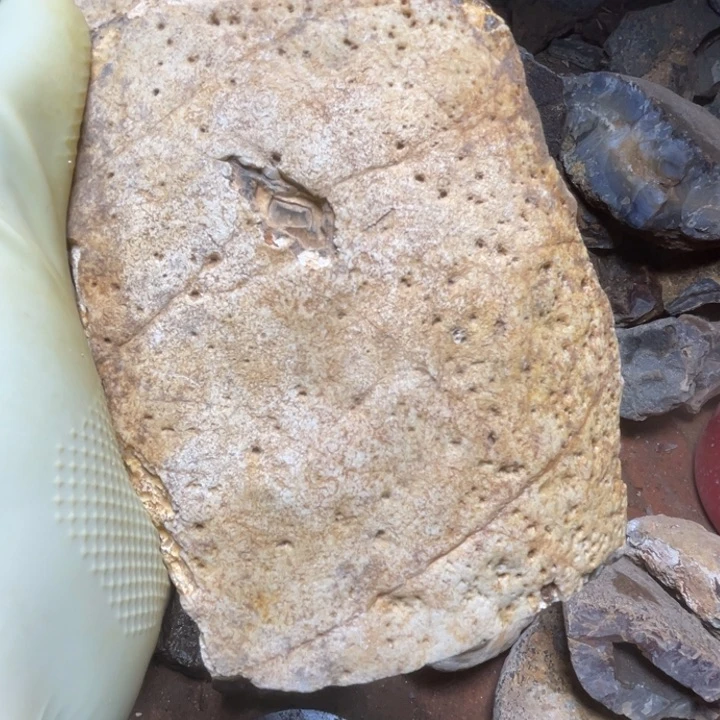 定制玛瑙小**?天然玛瑙定制加工