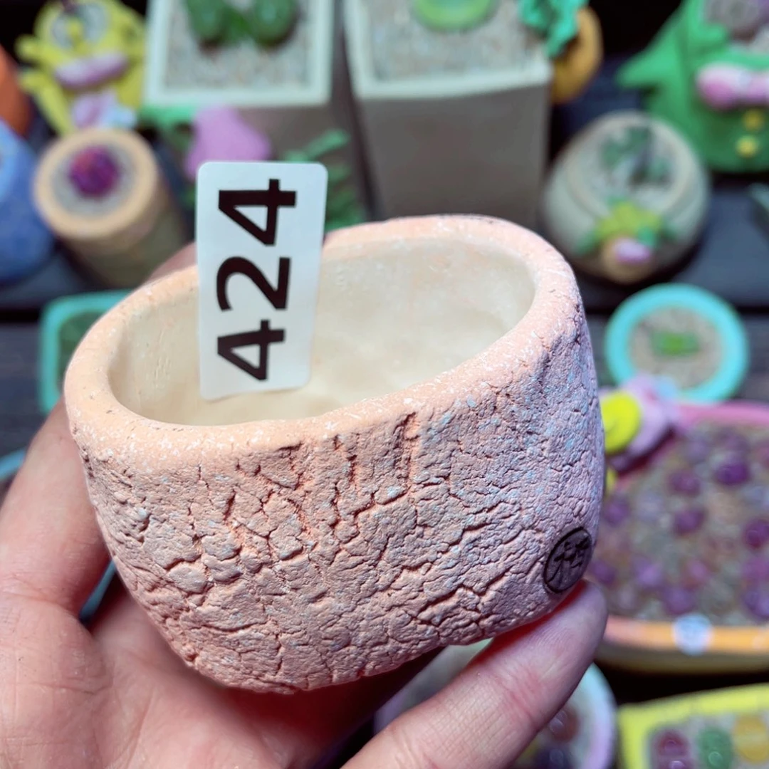 红陶424……………………