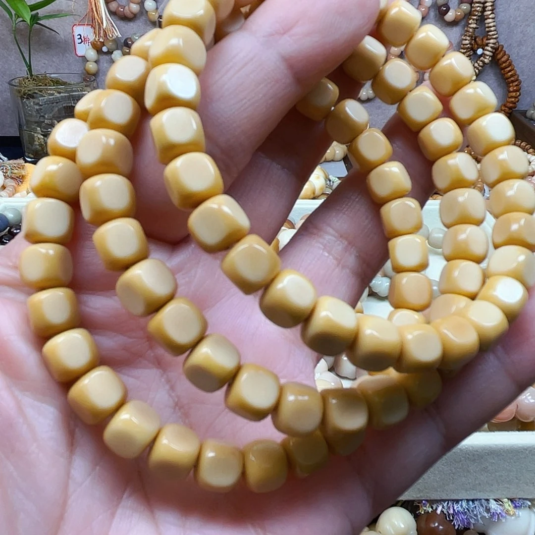 吊坠菩提根/象牙果