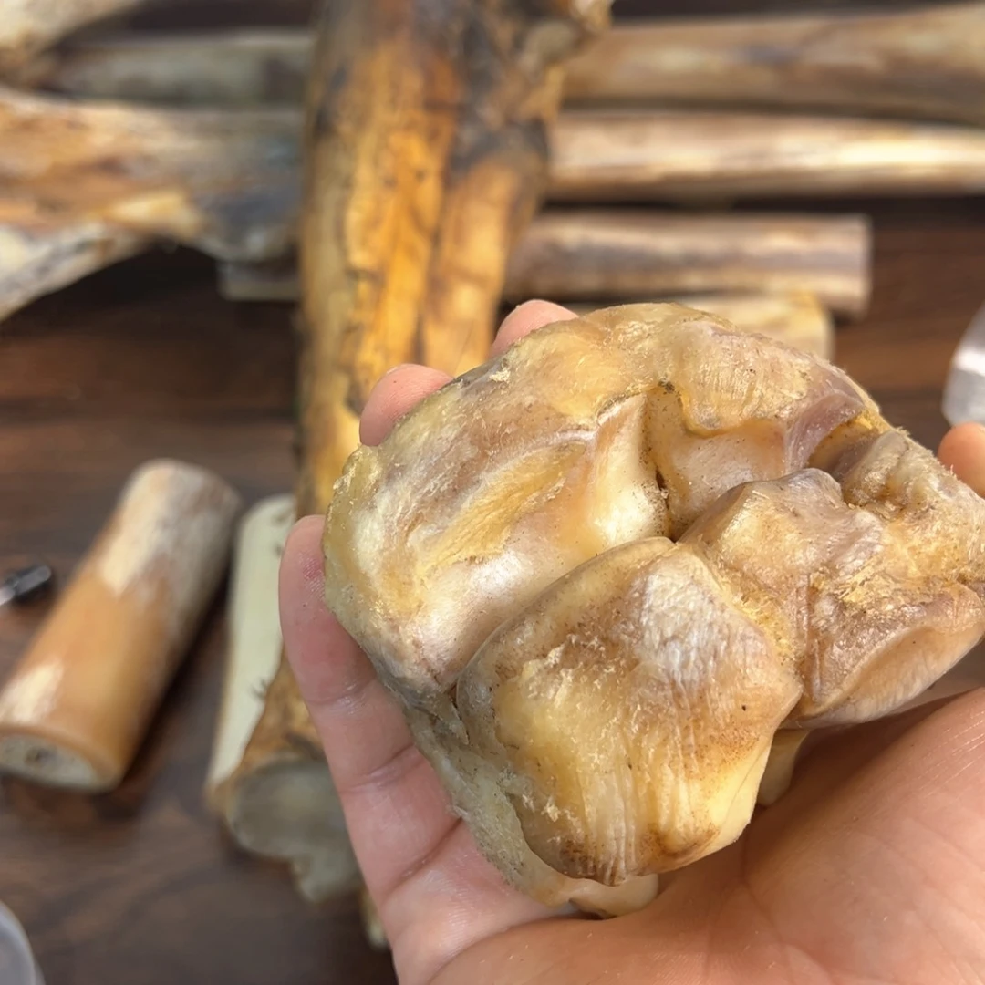 可*hhhu膝盖骨膝盖骨膝盖骨