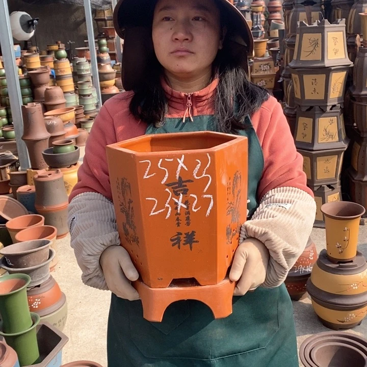 紫砂花盆盆栽花卉苗木种植