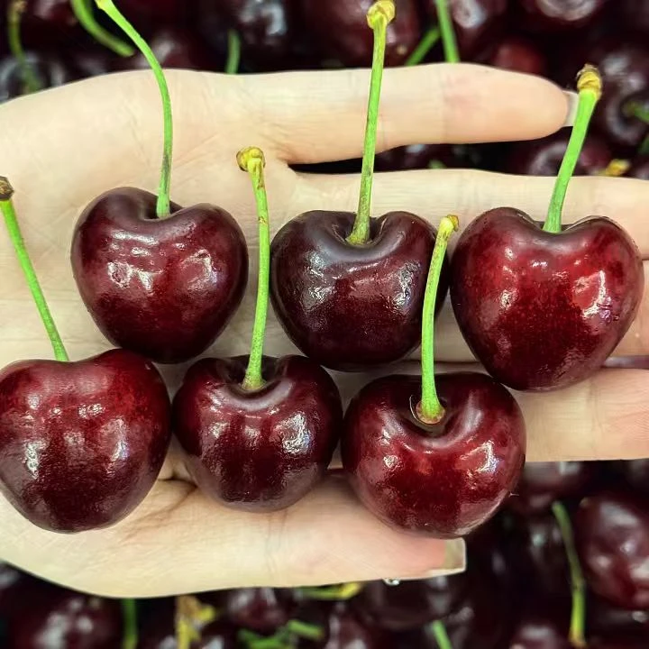 海运拉宾斯车厘子3-4J/ 5斤内附果径卡脆甜多汁 顺丰/京东包邮