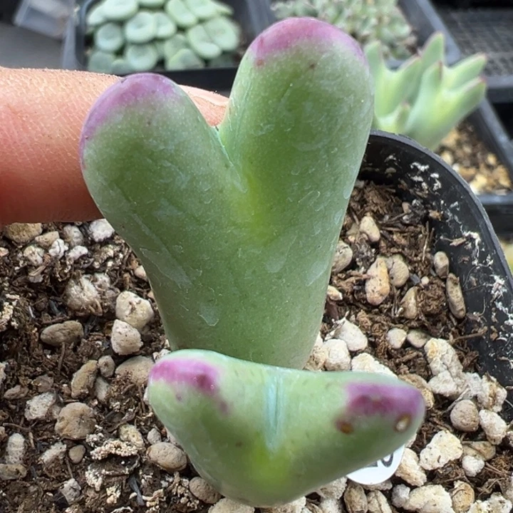 723好11111111111111