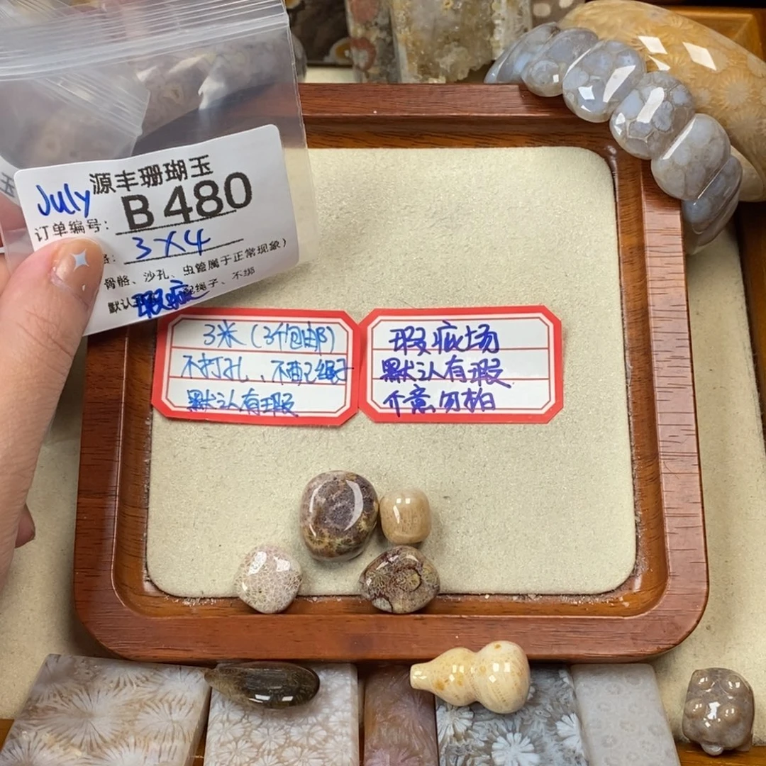 J***y未镶嵌颈饰硅化玉