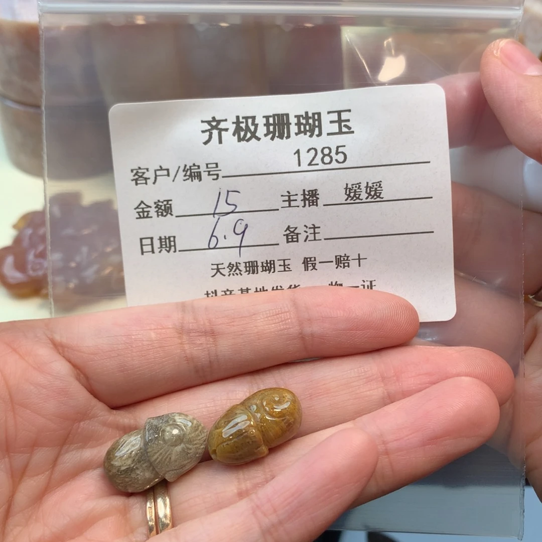 硅化珊瑚（珊瑚玉）未镶嵌颈饰五*
