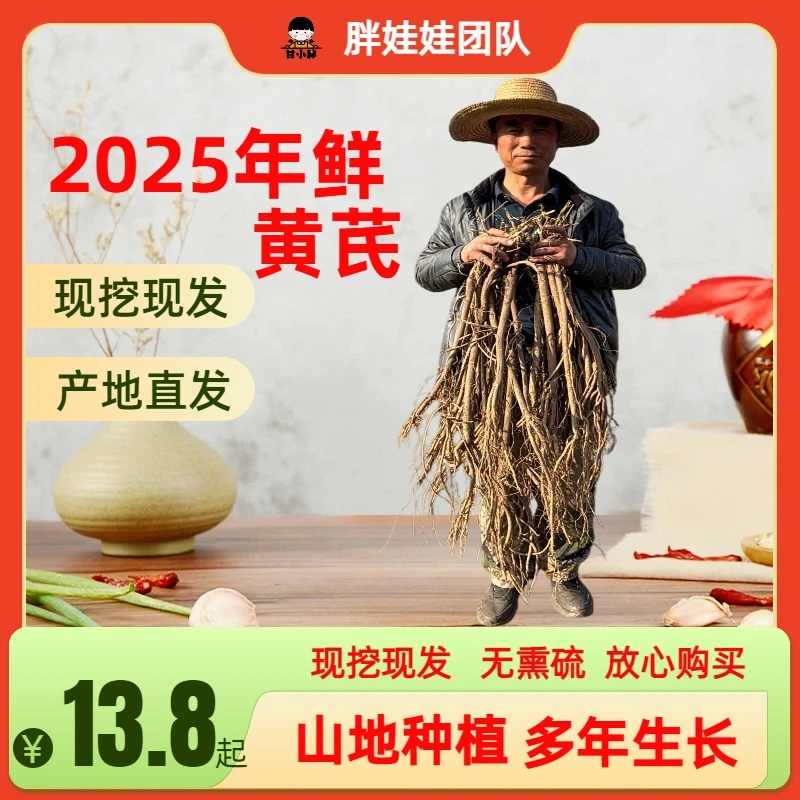 甘肃陇西原产地新鲜黄芪可煲汤炖肉泡水滋补养生现挖现发产地直发