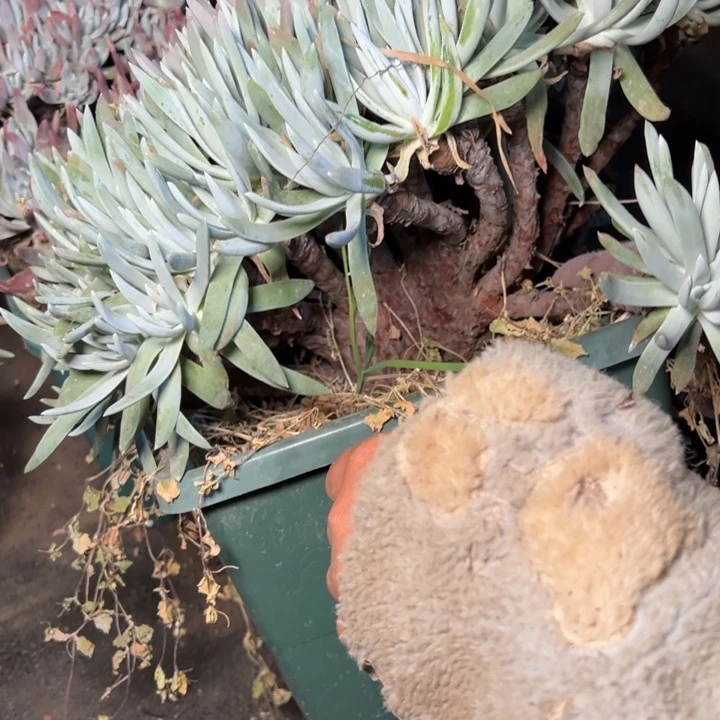 牛*1748哈哈哈哈哈哈哈哈