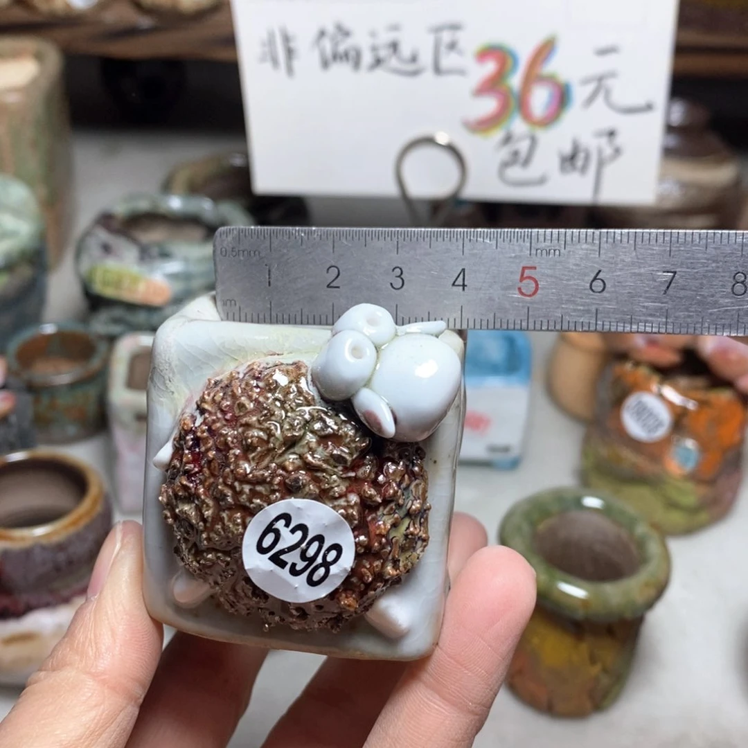 花盆拍3送一个小礼物