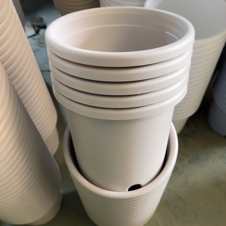 四季4号5个无托灰白