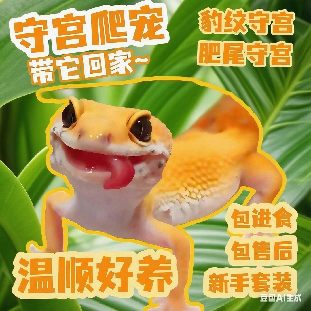 温顺可爱豹纹守宫爬宠适合新手入门全套饲养装备