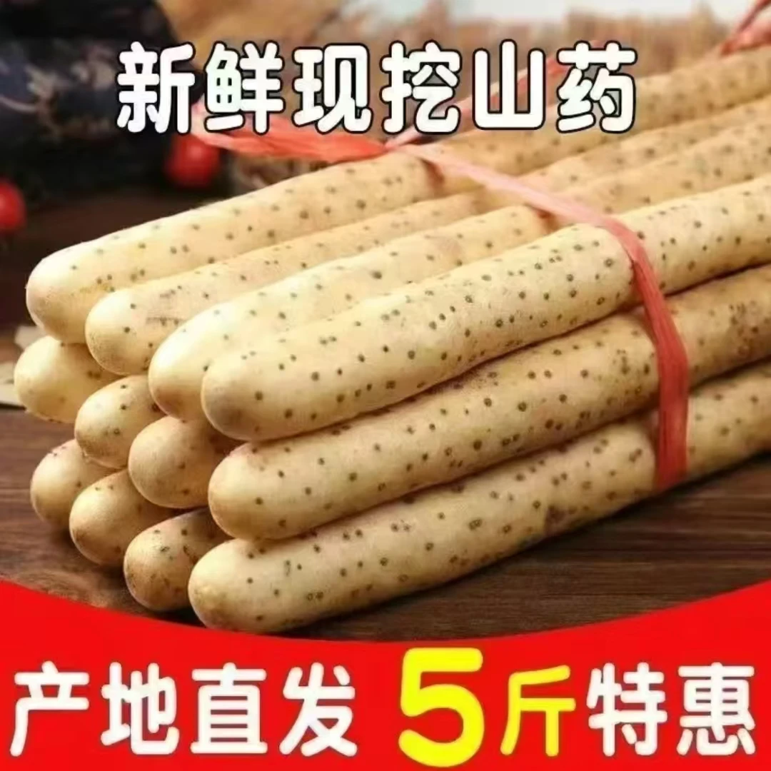 河北蠡县垆土铁棍山药现挖现发人工山药正宗铁棍山药挑选