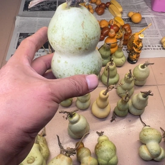 花***$葫芦葫芦笙等多种形式进行宣传和