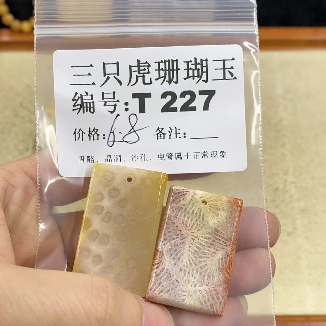 硅化珊瑚（珊瑚玉）1 未镶嵌1****一