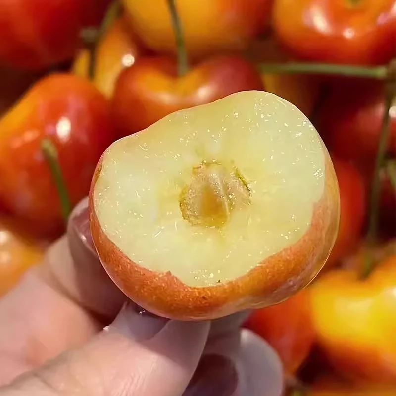 【好物推荐】1 黄车厘子雷尼尔4J海运新鲜内附果径卡