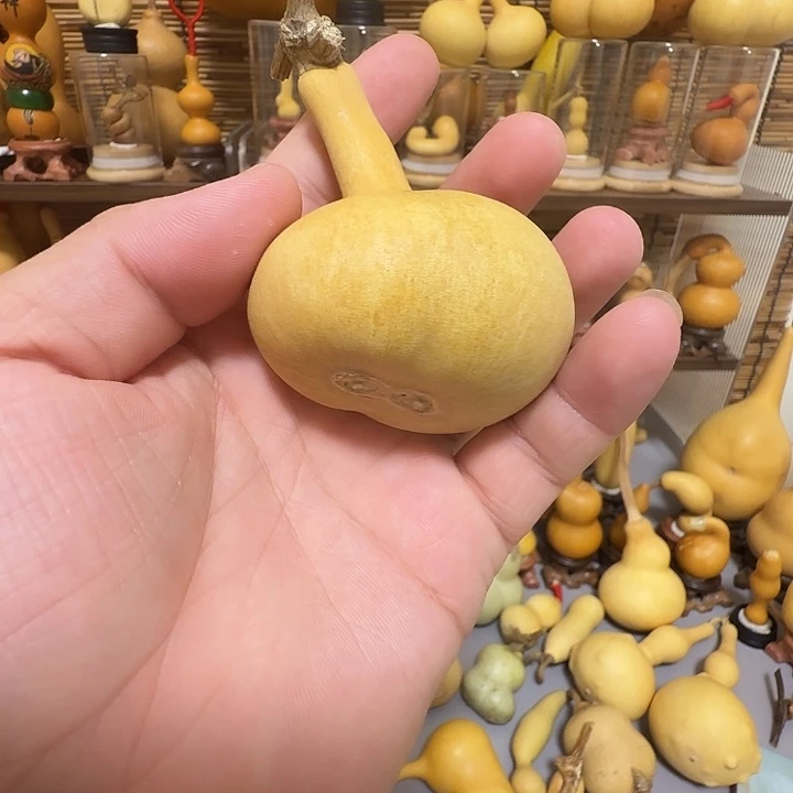 独把连体葫芦闪拍