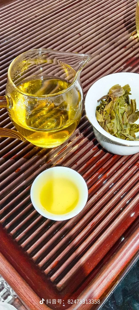【千家寨】500年古树纯料茶【生茶】【茶饼】