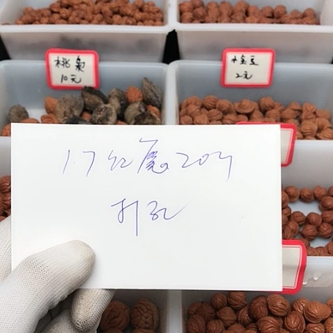 桃核吊坠九****)龙纹桃核的搭配