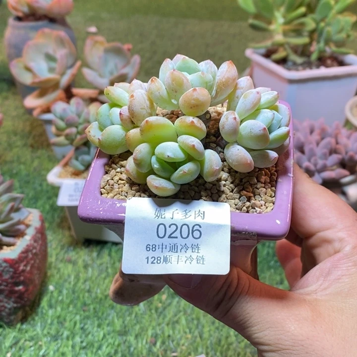0206啊啊啊啊啊啊啊啊啊啊