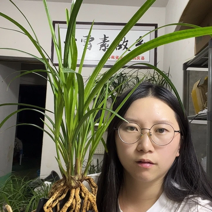 大部分开放少量花苞