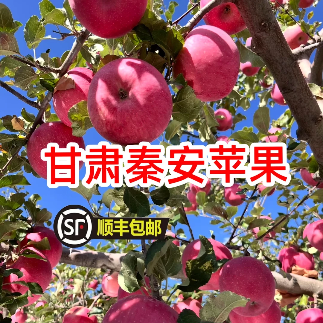 【顺丰包邮】甘肃天水秦安红富士苹果香脆多汁产地新鲜水果送货上门