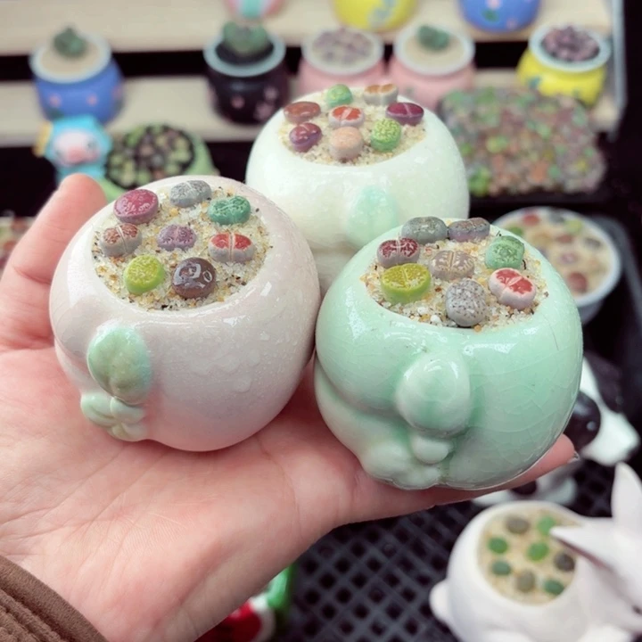 606零下地区记得拍保温箱