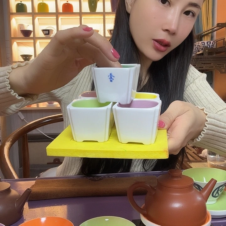 啊啊啊啊啊啊啊啊啊啊啊啊啊茶宠