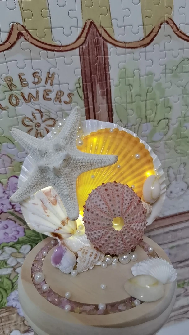 冰岛扇贝壳海星粉色海胆壳手作小夜灯