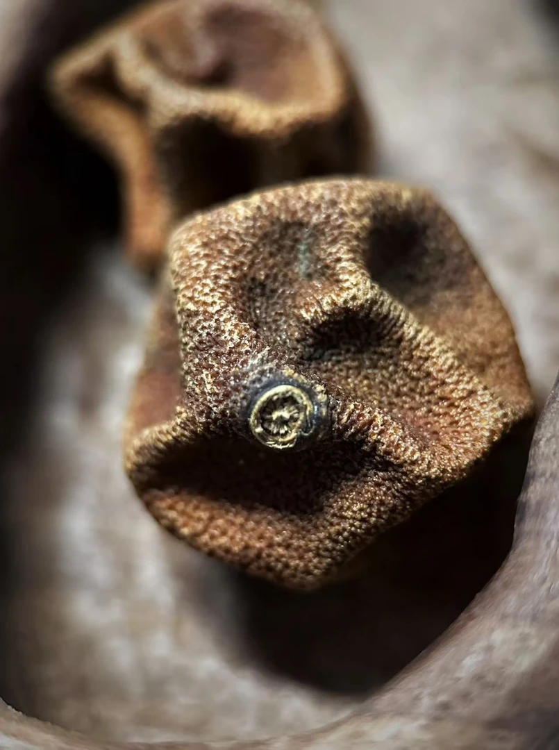 新会梅子香柑宝（收茶链接）